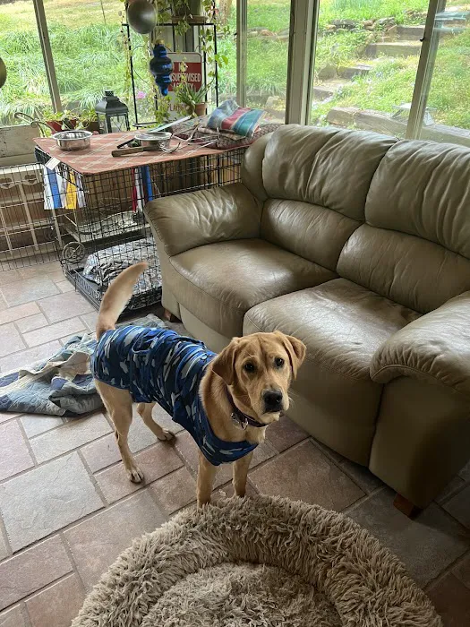 Valley Veterinary Associates Picture 10