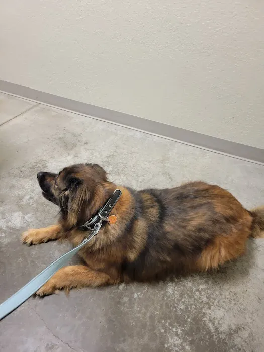 MAC Animal Hospital Picture 4