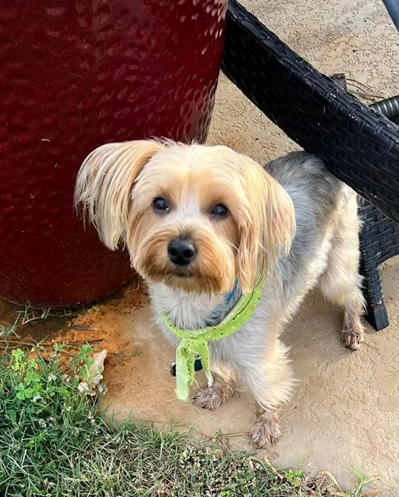 MAC Animal Hospital Picture 6