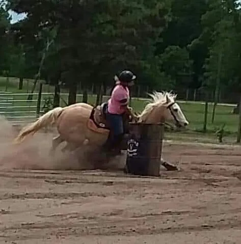 Easterwood Equine Hospital Picture 1