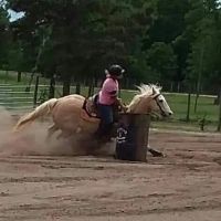 Easterwood Equine Hospital ico