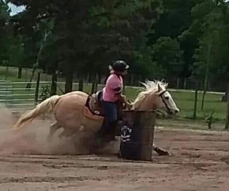 Easterwood Equine Hospital