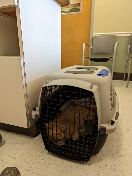 Airport Veterinary Hospital Picture 3