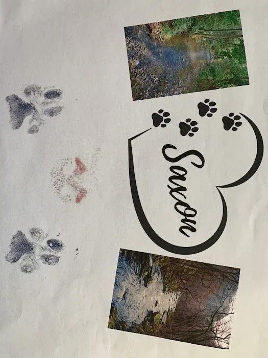 Airport Veterinary Hospital Picture 2