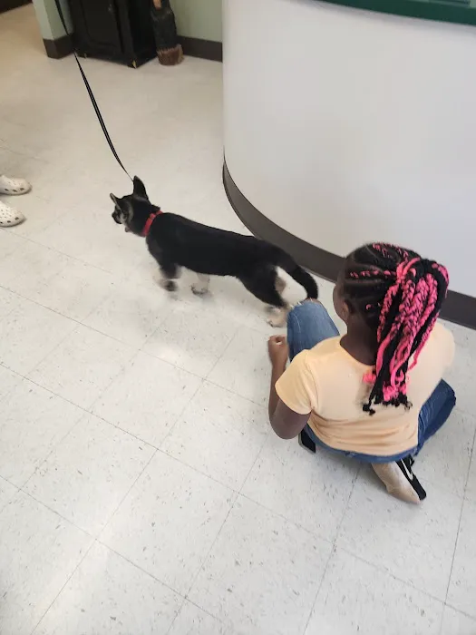 Airport Veterinary Hospital Picture 1