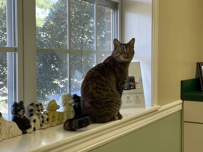 Airport Veterinary Hospital Picture 5