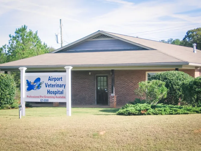 Airport Veterinary Hospital Picture 6