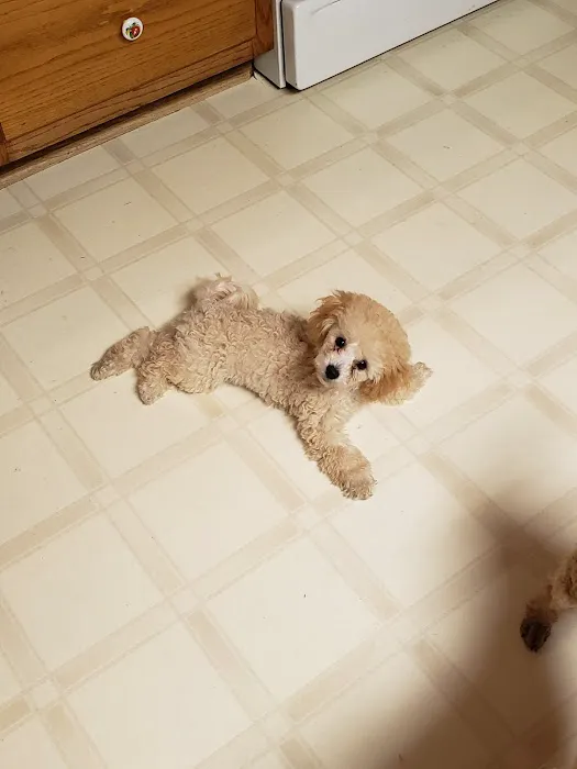 Calera Animal Hospital Picture 2