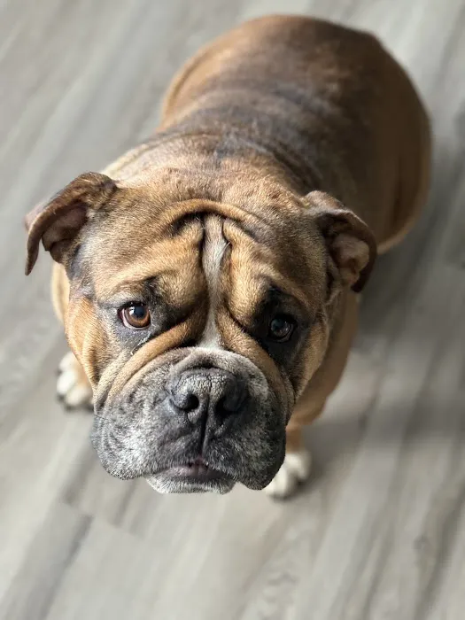 Calera Animal Hospital Picture 1