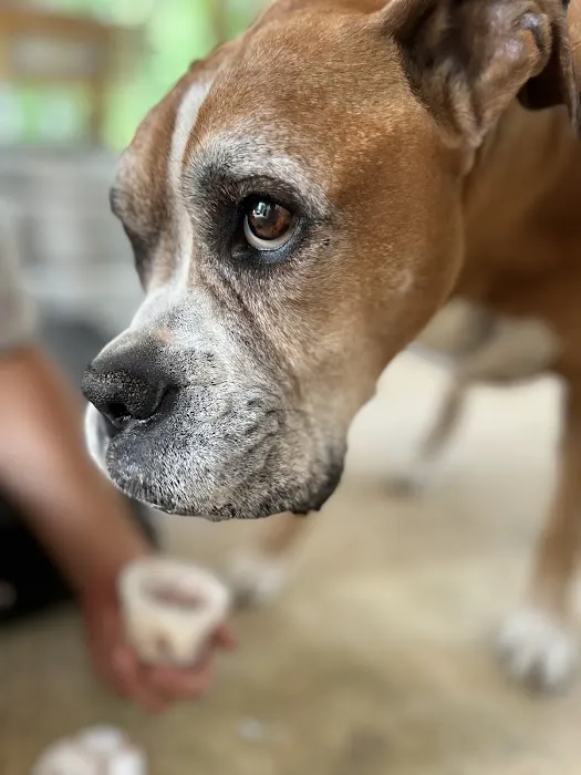 Calera Animal Hospital Picture 5