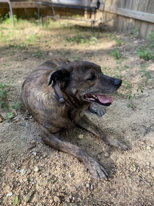 Calera Animal Hospital Picture 8