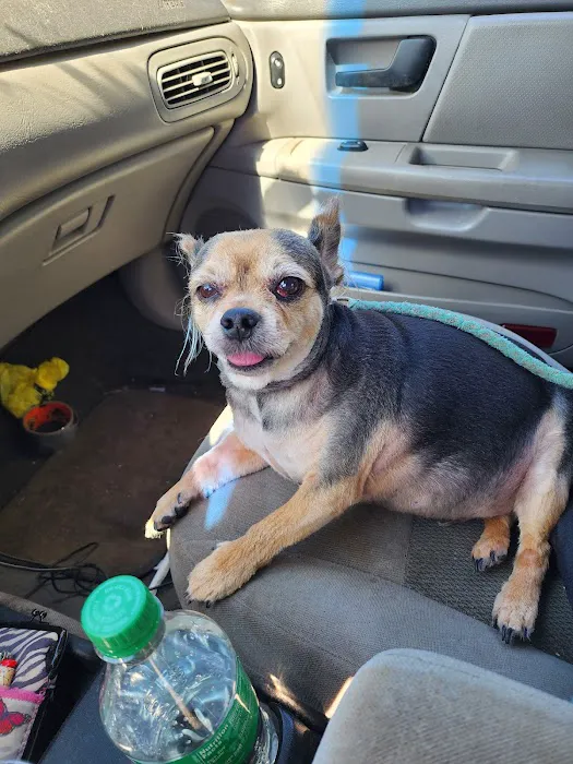 Calera Animal Hospital Picture 6