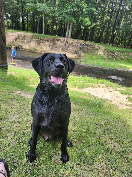 Calera Animal Hospital Picture 9