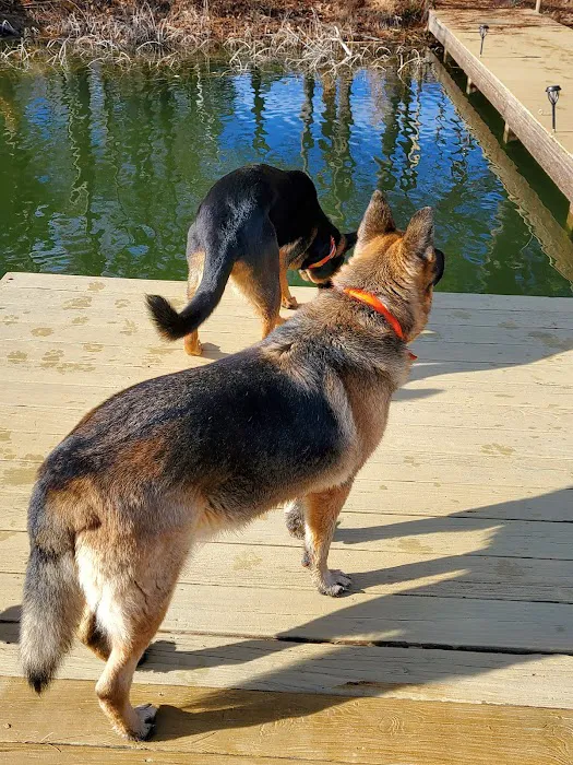 Calera Animal Hospital Picture 10