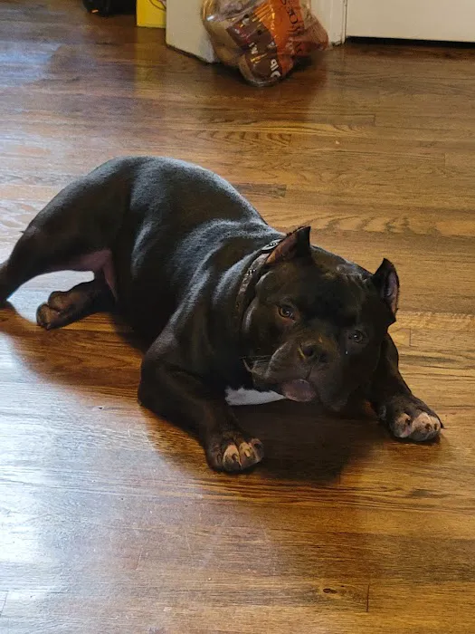 Banfield Pet Hospital Picture 1