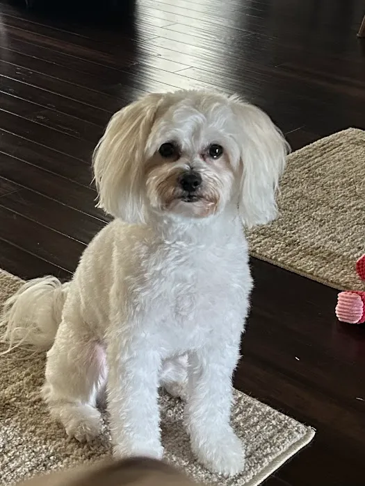 Banfield Pet Hospital Picture 5