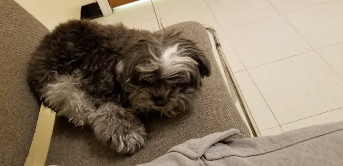 Weatherly Animal Hospital Picture 1