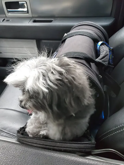 Weatherly Animal Hospital Picture 2