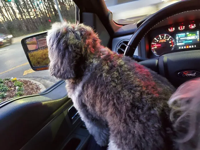 Weatherly Animal Hospital Picture 3