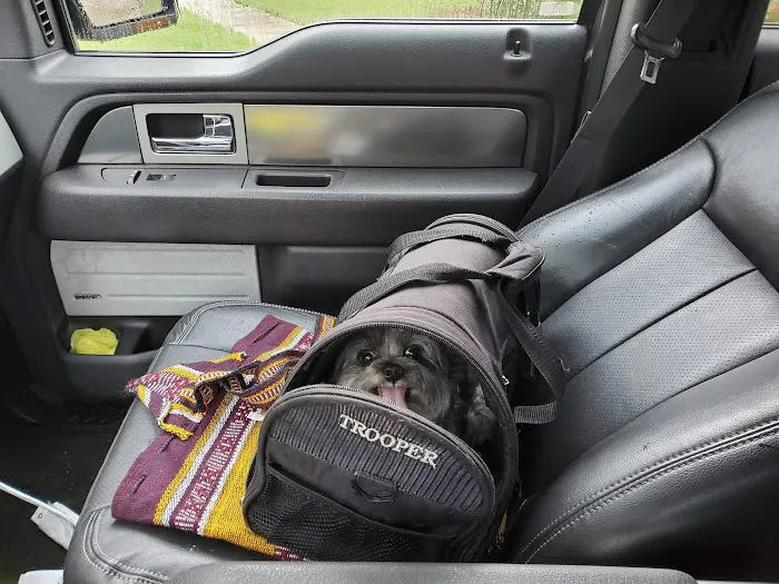 Weatherly Animal Hospital Picture 4