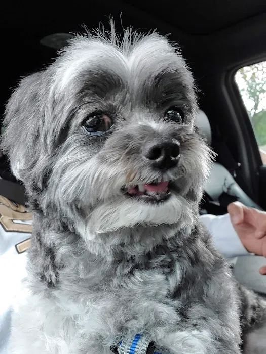 Weatherly Animal Hospital Picture 5