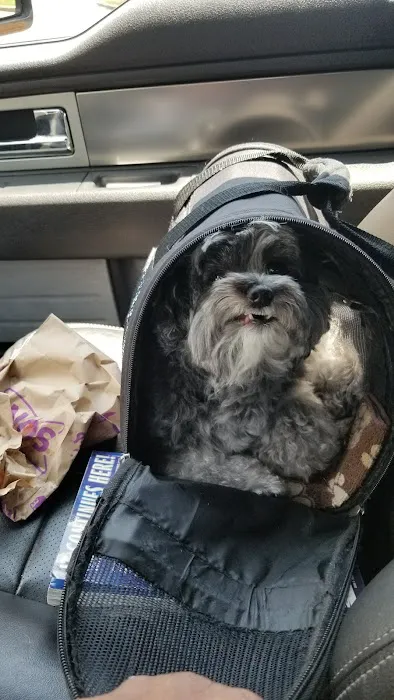 Weatherly Animal Hospital Picture 7