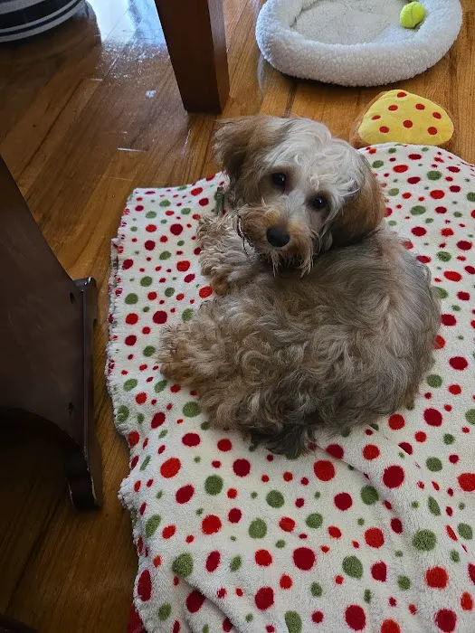 Weatherly Animal Hospital Picture 9