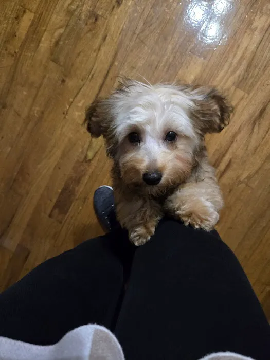 Weatherly Animal Hospital Picture 8