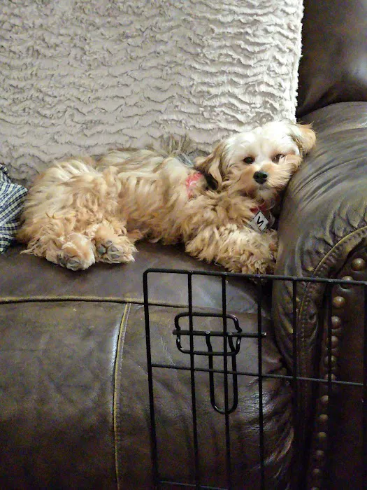 Weatherly Animal Hospital Picture 10