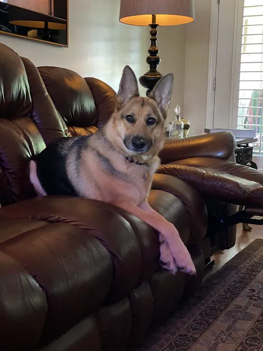 Countryside Animal Hospital Picture 3