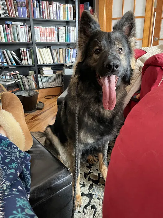 Countryside Animal Hospital Picture 1