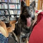 Countryside Animal Hospital