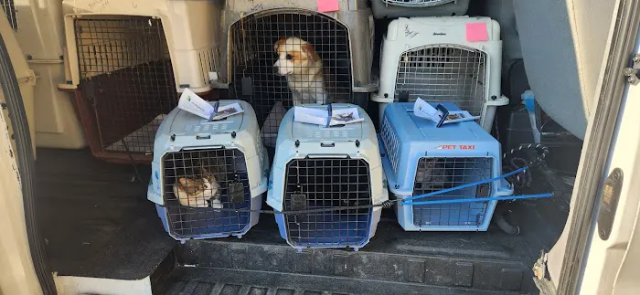 Countryside Animal Hospital Picture 5