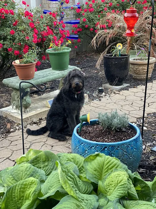 Countryside Animal Hospital Picture 6