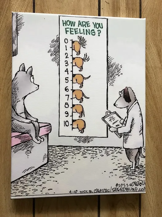 Countryside Animal Hospital Picture 9