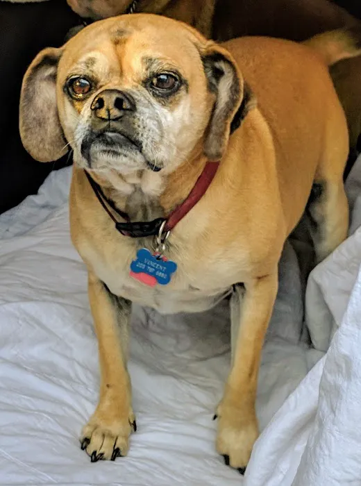 Countryside Animal Hospital Picture 7