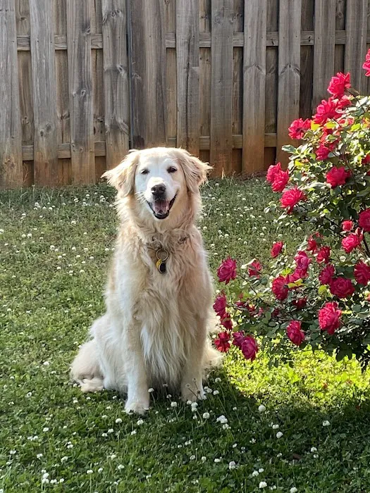 Countryside Animal Hospital Picture 10