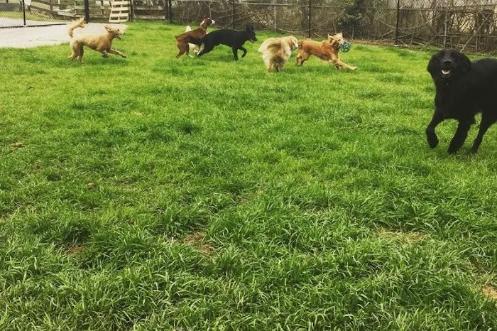 Valleydale Animal Clinic Picture 1