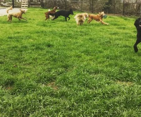 Valleydale Animal Clinic