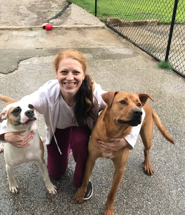 Valleydale Animal Clinic Picture 3