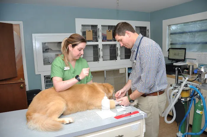 Valleydale Animal Clinic Picture 2