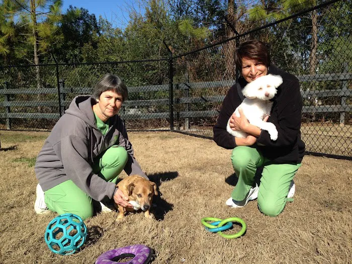 Valleydale Animal Clinic Picture 6