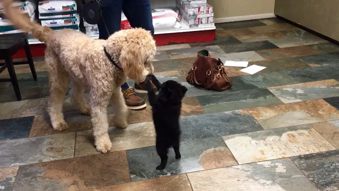 Valleydale Animal Clinic Picture 4