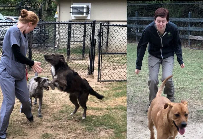 Valleydale Animal Clinic Picture 7