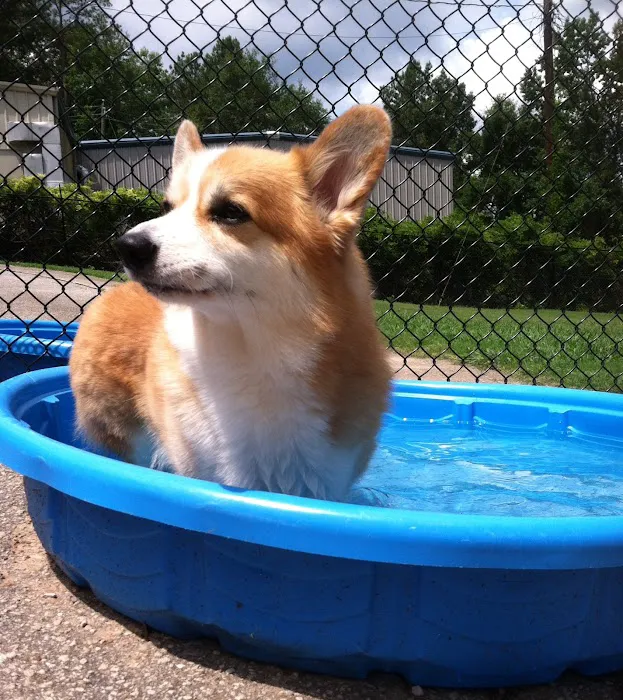 Valleydale Animal Clinic Picture 8