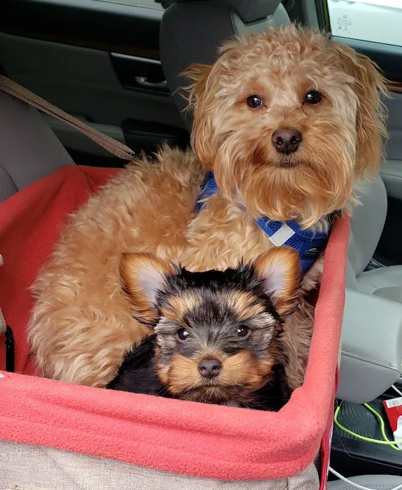 Caldwell Mill Animal Clinic Picture 1