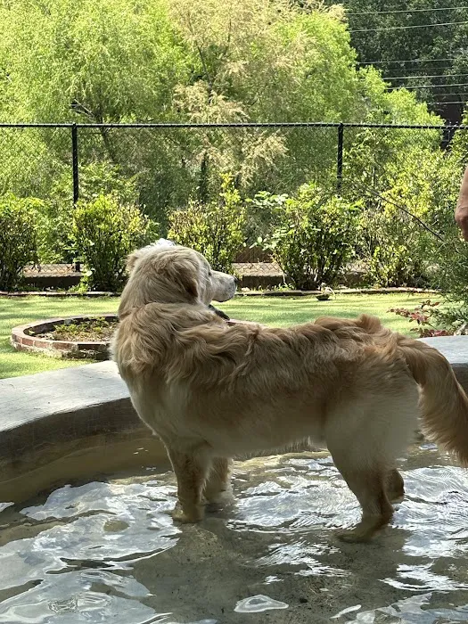 Caldwell Mill Animal Clinic Picture 3