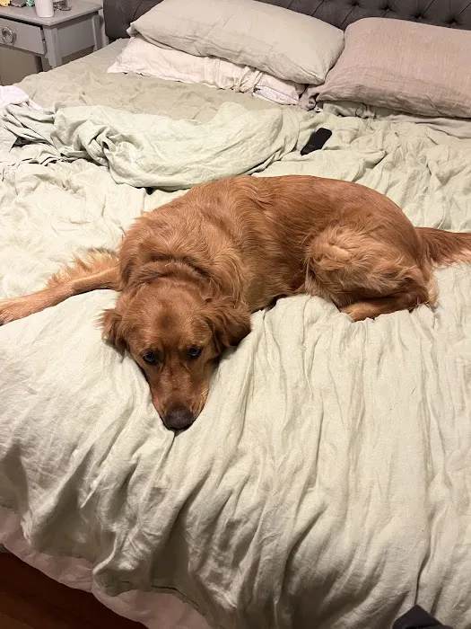 Caldwell Mill Animal Clinic Picture 6