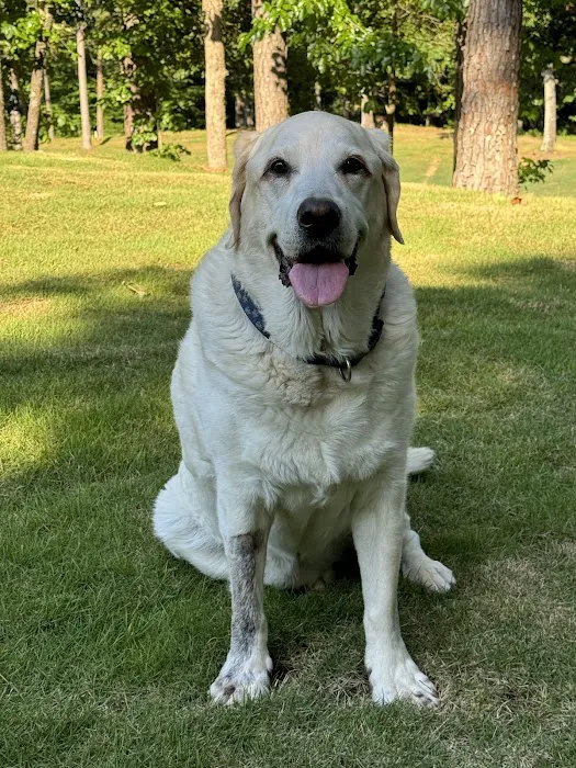 Caldwell Mill Animal Clinic Picture 9