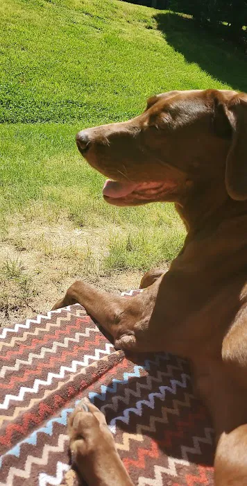 Dr. Alvin Atlas Picture 1